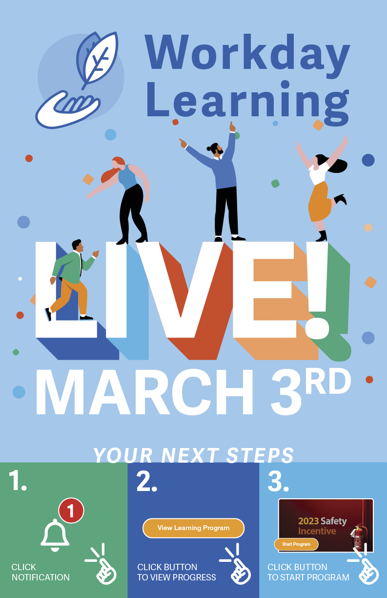workday learning goes live